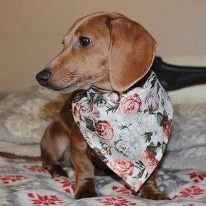 Meet your Posher, Taylor